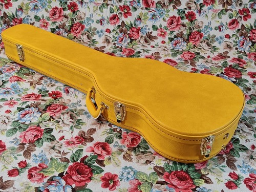 Custodia per chitarra - , sg