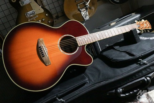 Chitarra elettrica acustica
