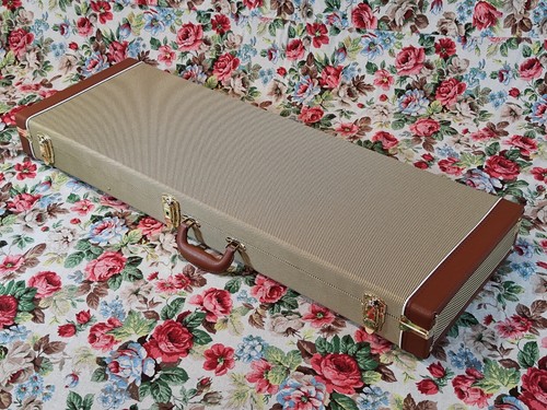 Custodia per chitarra