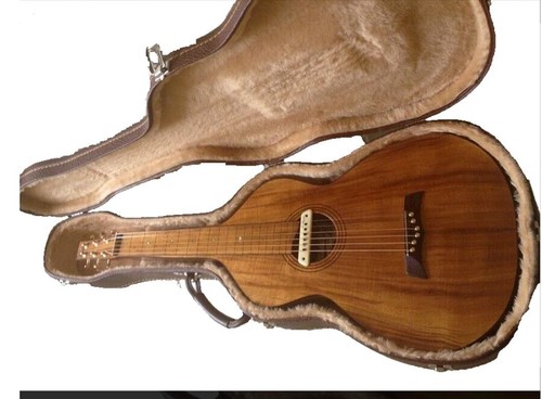 Custodia nera per chitarra - per,