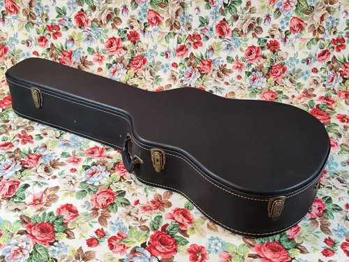 Custodia per chitarra